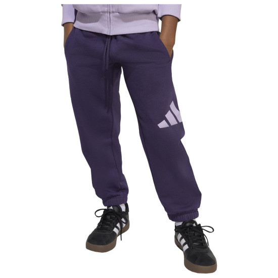 Adidas Παιδικές φόρμες σετ Sportswear Big Logo Fleece Full-Zip Tracksuit